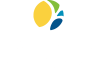 Dominion National - Dental Insurance