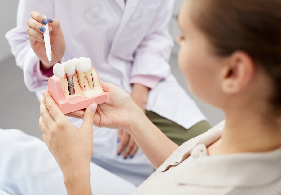 Woman holding dental implant model
